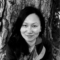 Van Trinh