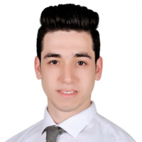 Mohamed Heikal