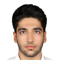 MOHSEN MAJIDI