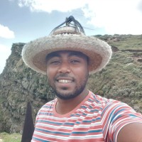 Amanuel Mamo