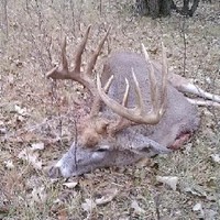 Todd Chasing Hawk (Rosebud Guide)