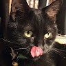 Cat Mann