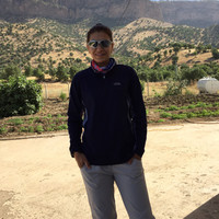 kurd com