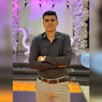 Elsayed Hamdy