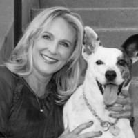 Shelly VanBrabant