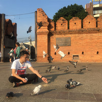 杨友卓