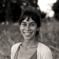 Yarden Meerovitch