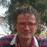 Ronald Dudok van Heel