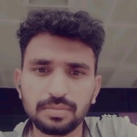 N Ibrahim