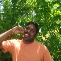 Srinivas Sunkara