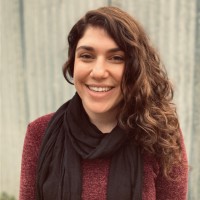 Stephanie Recchia, Lmsw, Ccm