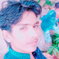 Md Arshad Alam