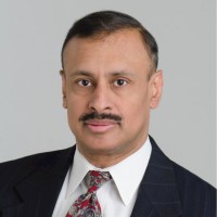Hamid Faruqee