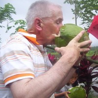Terence Kelly