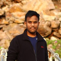 Vamsi Krishna P.