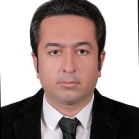 mohammad safizadeh