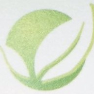 Enviro Clean