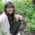 Darlene Levenson