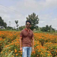 Pruthvi Raj