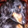 Wouter Z