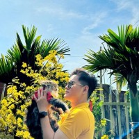 Hiến Nguyễn