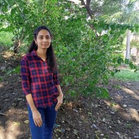 Vrushali Vasekar