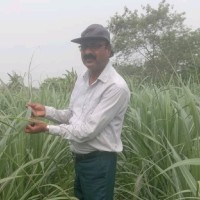 Rajesh Kumar Singh Singh