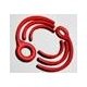 DigiScript Philippines Inc.