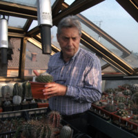 Usanza Lauro