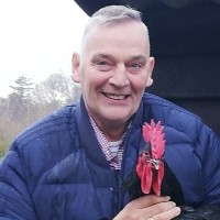 Ton de Groot