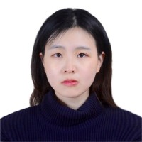 Yilin Che