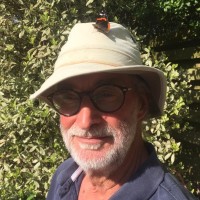 David Maclean