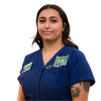 Stephanie Cortez