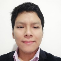 Luis David Yauri Martinez