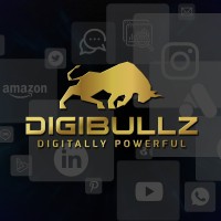Digibullzaire Ventures Private Limited