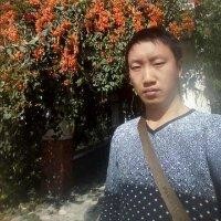 谢瑞清