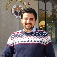Ahmed Ramzy