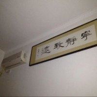 张可森