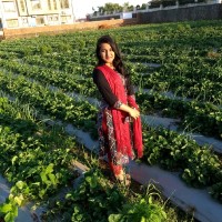 Shagufta Khan