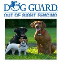 Electric Dog Fence Northern Virginia