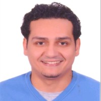 Ramy Shoukry