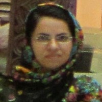 leila hokmabadi