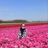 Iryna Van Der Kooi-Radionova