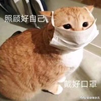 吴艳婷
