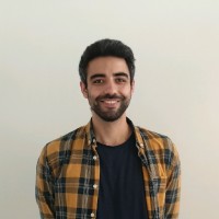 Amir Ansari