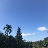 张中林