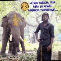 kutty murali