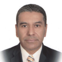 Gerardo Estrada Olvera