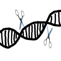 Biocodon Technologies