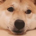 王希悦